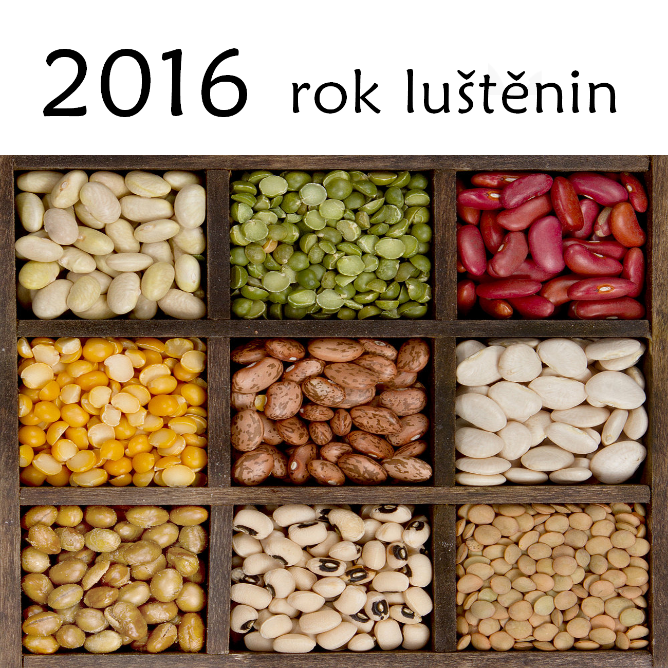 2016-rok_luštěnin